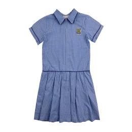 Custom-made elementary school one-piece school uniform dress design blue plaid short-sleeved dress kindergarten school skirt center SU149 Custom-made elementary school one-piece school uniform dress design blue plaid short-sleeved dress kindergarten school skirt center SU149